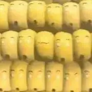 はごろもコーン！の画像