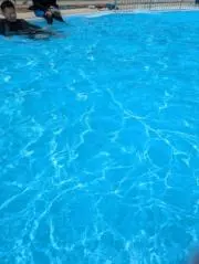じゃりんこさんの画像