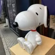 まめの画像