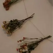 kru07の画像