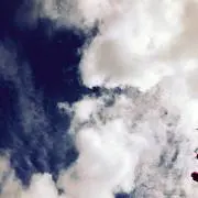 しゅんちんの画像