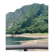 しょうらん【即購入可】の画像
