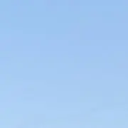 雨の画像