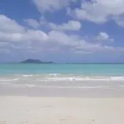 yyyyyの画像