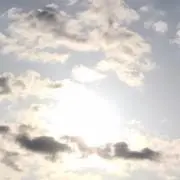 momonga***