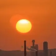 たーりの画像