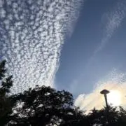 リカの画像