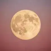Luna※プロフご確認ください※の画像