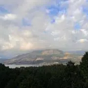 x366ntの画像