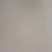 FUの画像