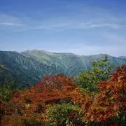 mkoの画像