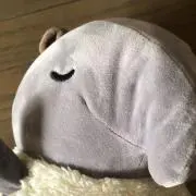 るんこの画像