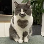 くまちゃん‪‪⸜‪‪☺︎‬⸝‬‪‪