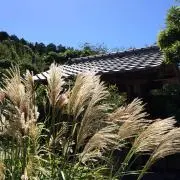 riaの画像