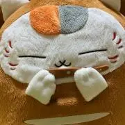 にゃんこ先生の画像