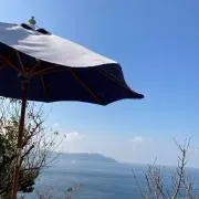 プリン