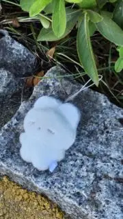 ビクシ