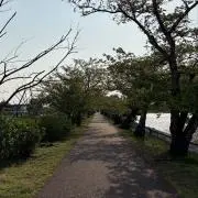 enterの画像