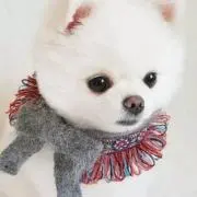サンキューの画像