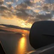 りりさんの画像