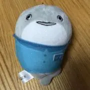 ピスの画像