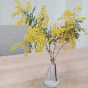 はよの画像
