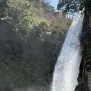 はの画像