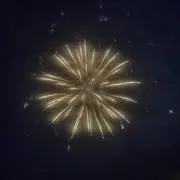 はなの画像