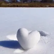 こーみ