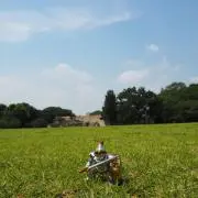 やんぴちの画像