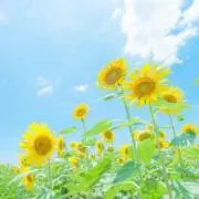 ☺︎❤︎の画像