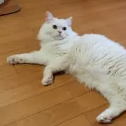 ★Tama★