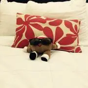 ぽてりの画像