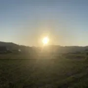 あっちょんの画像