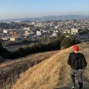 紅しょうがの画像