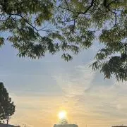kellyの画像