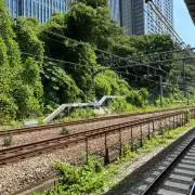 ネギトロの画像