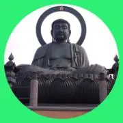 青心の画像