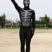 TTの画像