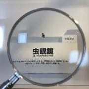 ひろ太の画像