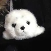 K.K
