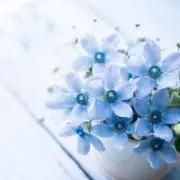 G・G・SHOP値下げ依頼・即購入⭕️の画像