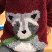 ⭐即購入⭕⭐ソイの画像