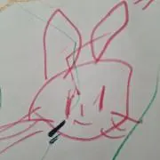 こんぶの画像