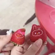えいの画像