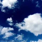 ねむの画像