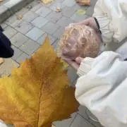なo̴̶̷  ̫ o̴̶̷‪‪