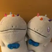 オタコの画像