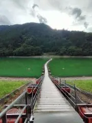 Meiの画像