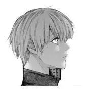 メッシュの画像